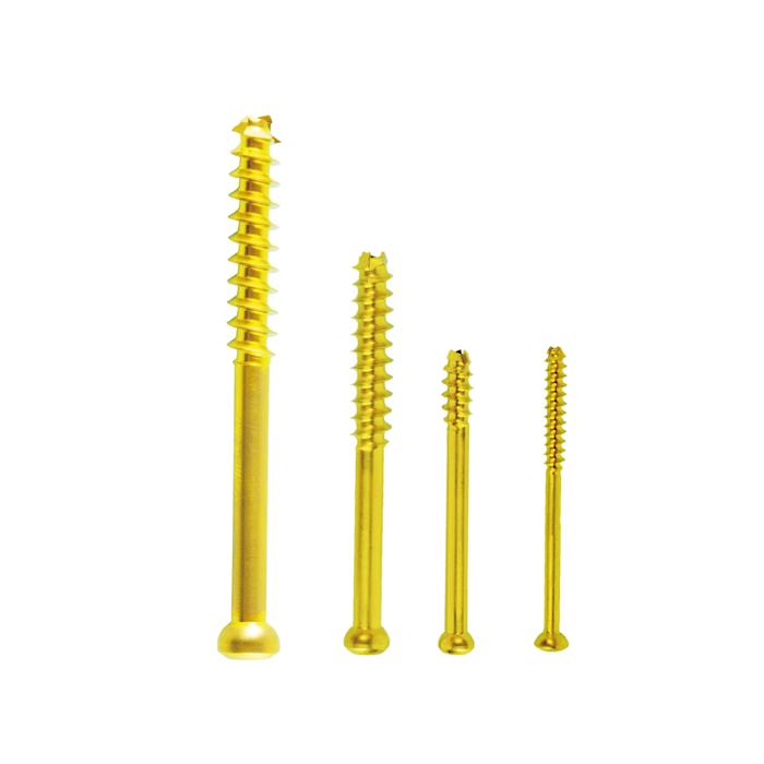 Tornillo Canulado