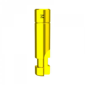 Mini DMR Réplica