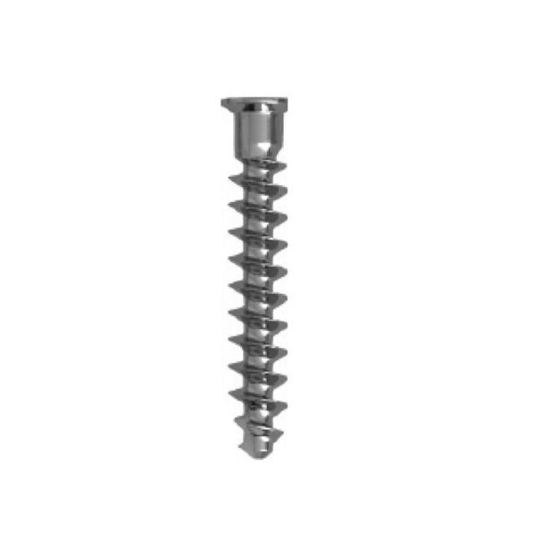 [Tornillo para huesos][Tornillo para huesos]